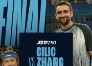 🎾 ATP杭州公开赛决赛：张之臻0-2西里奇获得亚军